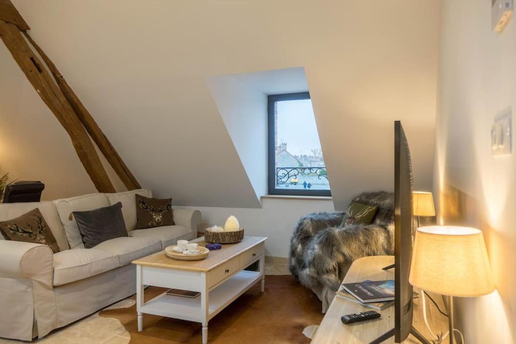 Appartement Lamotte-Beuvron Apartment *