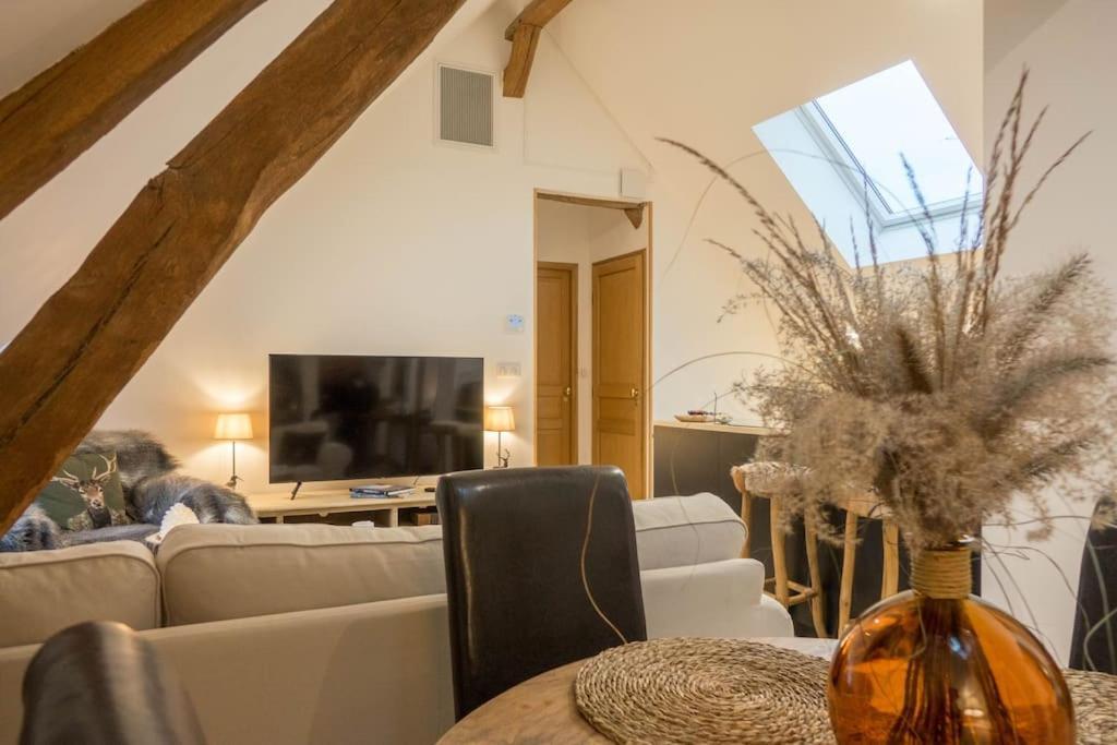 Appartement Lamotte-Beuvron Apartment